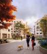 3232554
