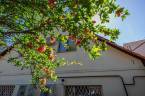 3222972